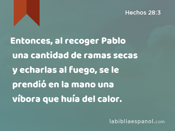 Entonces, al recoger Pablo una cantidad de ramas secas y echarlas al fuego, se le prendió en la mano una víbora que huía del calor. - Hechos 28:3