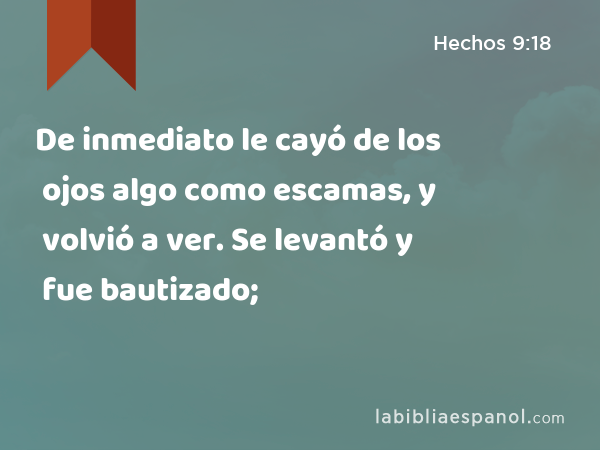 De inmediato le cayó de los ojos algo como escamas, y volvió a ver. Se levantó y fue bautizado; - Hechos 9:18