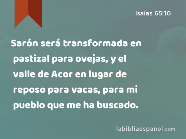 Sarón será transformada en pastizal para ovejas, y el valle de Acor en lugar de reposo para vacas, para mi pueblo que me ha buscado. - Isaías 65:10