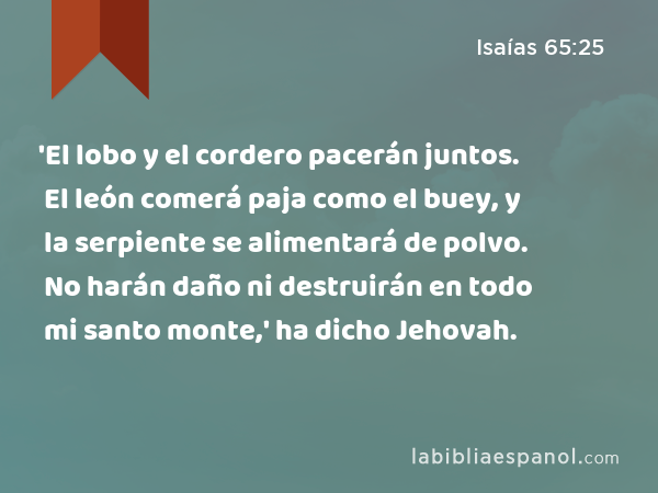 'El lobo y el cordero pacerán juntos. El león comerá paja como el buey, y la serpiente se alimentará de polvo. No harán daño ni destruirán en todo mi santo monte,' ha dicho Jehovah. - Isaías 65:25