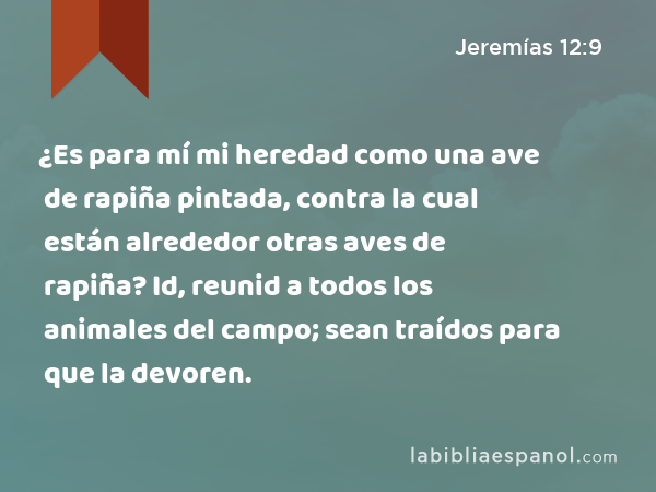 ¿Es para mí mi heredad como una ave de rapiña pintada, contra la cual están alrededor otras aves de rapiña? Id, reunid a todos los animales del campo; sean traídos para que la devoren. - Jeremías 12:9