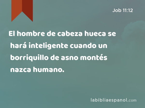 El hombre de cabeza hueca se hará inteligente cuando un borriquillo de asno montés nazca humano. - Job 11:12