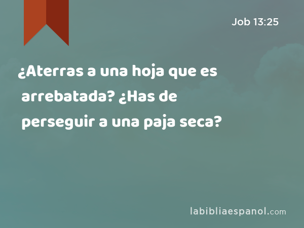 ¿Aterras a una hoja que es arrebatada? ¿Has de perseguir a una paja seca? - Job 13:25