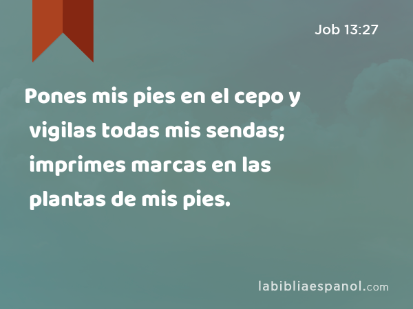 Pones mis pies en el cepo y vigilas todas mis sendas; imprimes marcas en las plantas de mis pies. - Job 13:27