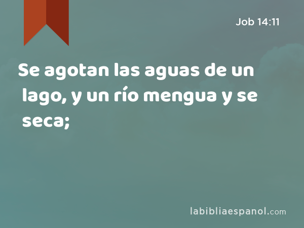 Se agotan las aguas de un lago, y un río mengua y se seca; - Job 14:11