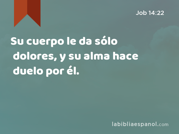 Su cuerpo le da sólo dolores, y su alma hace duelo por él. - Job 14:22