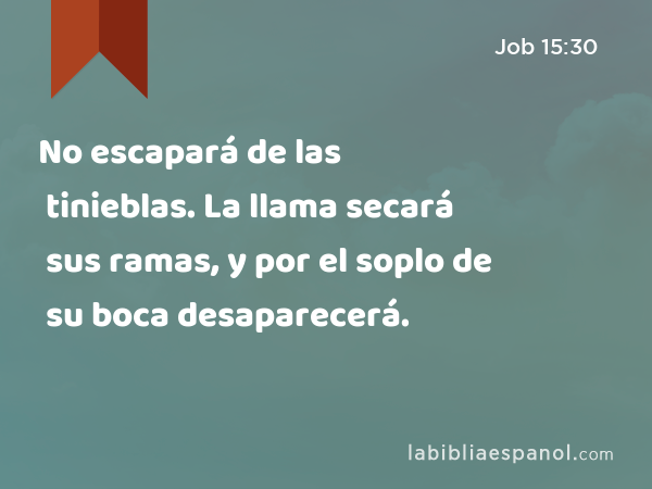 No escapará de las tinieblas. La llama secará sus ramas, y por el soplo de su boca desaparecerá. - Job 15:30