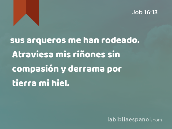 sus arqueros me han rodeado. Atraviesa mis riñones sin compasión y derrama por tierra mi hiel. - Job 16:13