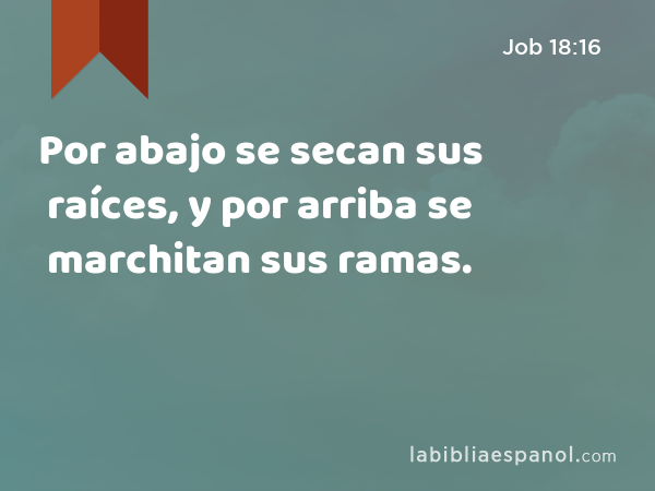 Por abajo se secan sus raíces, y por arriba se marchitan sus ramas. - Job 18:16