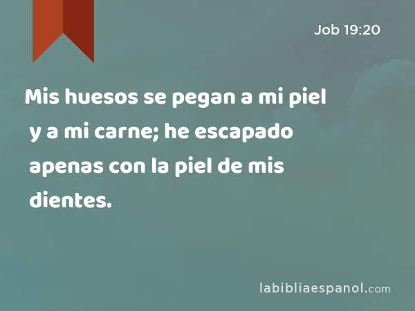 Mis huesos se pegan a mi piel y a mi carne; he escapado apenas con la piel de mis dientes. - Job 19:20