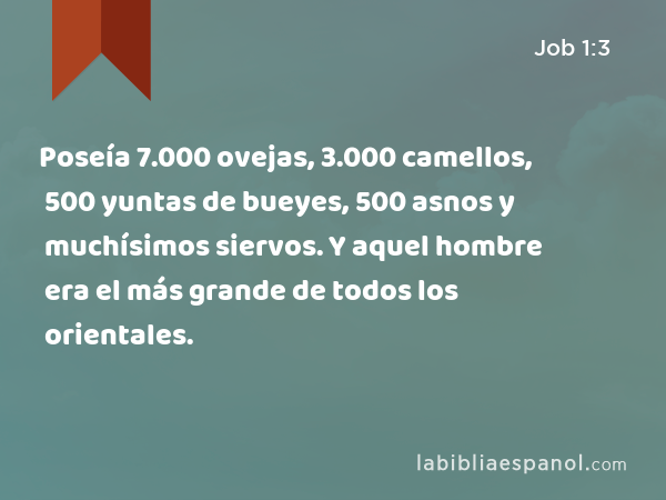 Poseía 7.000 ovejas, 3.000 camellos, 500 yuntas de bueyes, 500 asnos y muchísimos siervos. Y aquel hombre era el más grande de todos los orientales. - Job 1:3