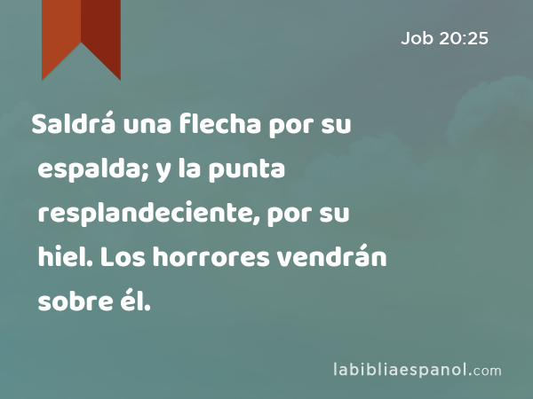 Saldrá una flecha por su espalda; y la punta resplandeciente, por su hiel. Los horrores vendrán sobre él. - Job 20:25