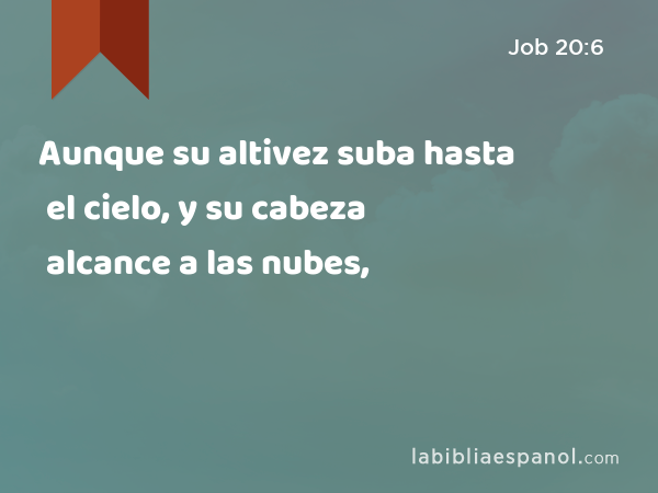 Aunque su altivez suba hasta el cielo, y su cabeza alcance a las nubes, - Job 20:6