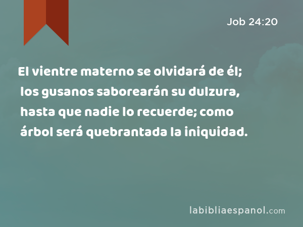 El vientre materno se olvidará de él; los gusanos saborearán su dulzura, hasta que nadie lo recuerde; como árbol será quebrantada la iniquidad. - Job 24:20