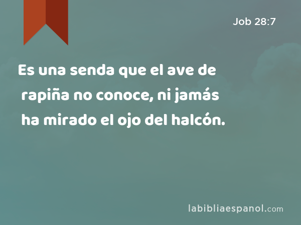 Es una senda que el ave de rapiña no conoce, ni jamás ha mirado el ojo del halcón. - Job 28:7