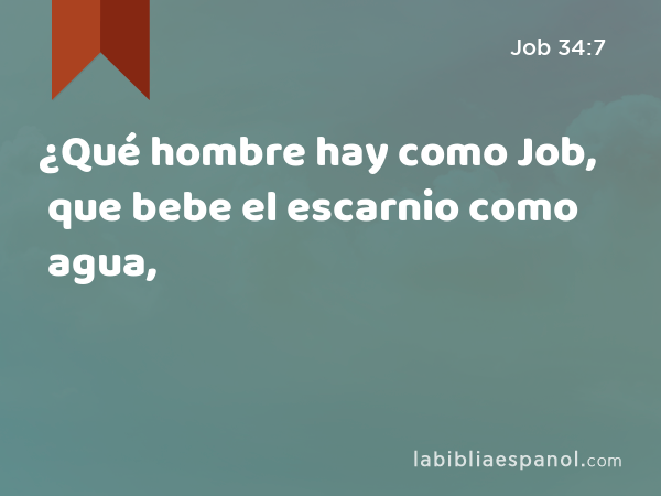 ¿Qué hombre hay como Job, que bebe el escarnio como agua, - Job 34:7