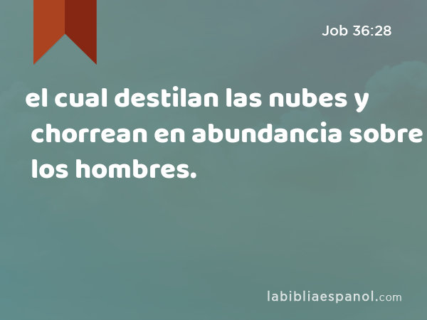 el cual destilan las nubes y chorrean en abundancia sobre los hombres. - Job 36:28