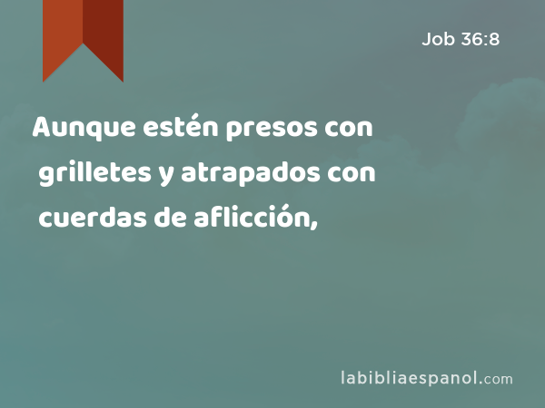 Aunque estén presos con grilletes y atrapados con cuerdas de aflicción, - Job 36:8