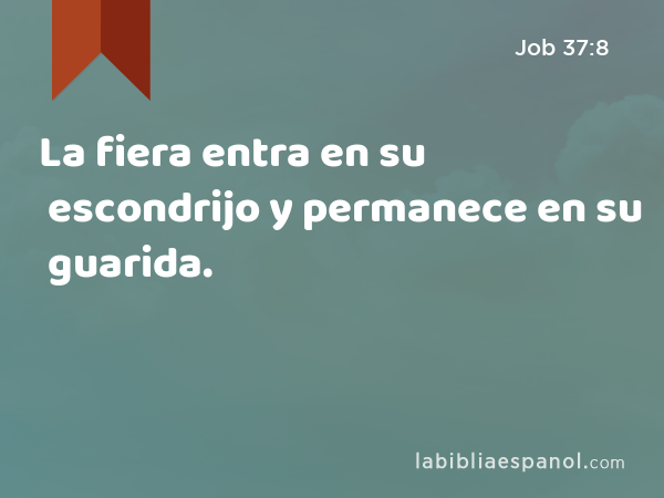 La fiera entra en su escondrijo y permanece en su guarida. - Job 37:8