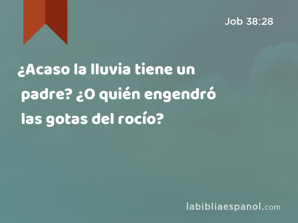 ¿Acaso la lluvia tiene un padre? ¿O quién engendró las gotas del rocío? - Job 38:28