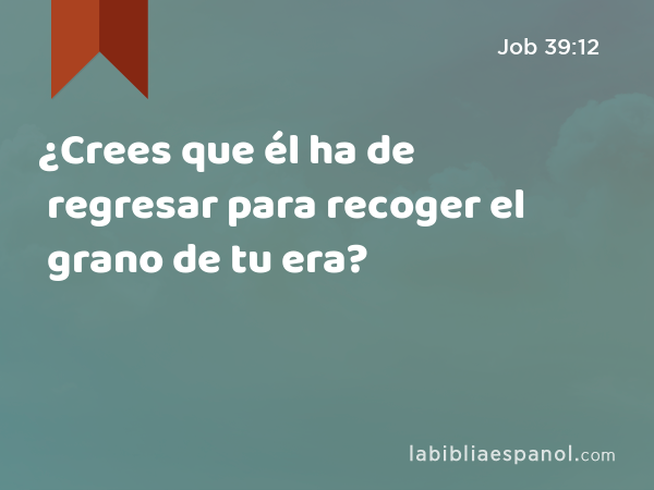 ¿Crees que él ha de regresar para recoger el grano de tu era? - Job 39:12