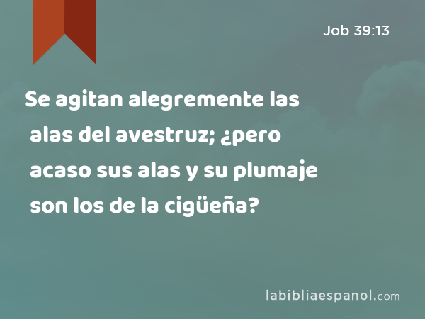 Se agitan alegremente las alas del avestruz; ¿pero acaso sus alas y su plumaje son los de la cigüeña? - Job 39:13