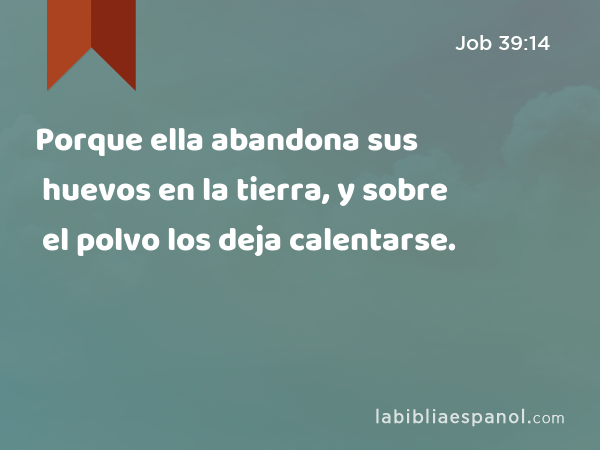 Porque ella abandona sus huevos en la tierra, y sobre el polvo los deja calentarse. - Job 39:14