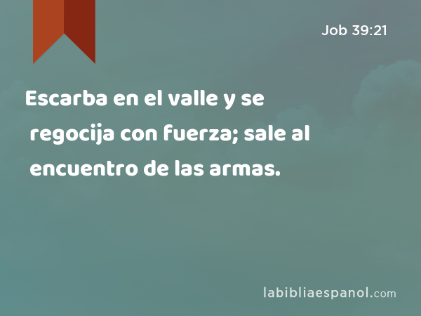 Escarba en el valle y se regocija con fuerza; sale al encuentro de las armas. - Job 39:21