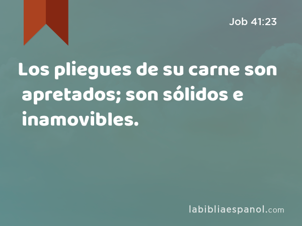 Los pliegues de su carne son apretados; son sólidos e inamovibles. - Job 41:23