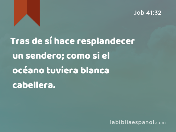 Tras de sí hace resplandecer un sendero; como si el océano tuviera blanca cabellera. - Job 41:32