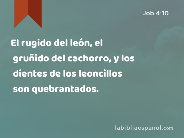 El rugido del león, el gruñido del cachorro, y los dientes de los leoncillos son quebrantados. - Job 4:10