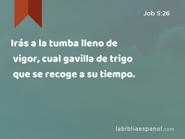 Irás a la tumba lleno de vigor, cual gavilla de trigo que se recoge a su tiempo. - Job 5:26