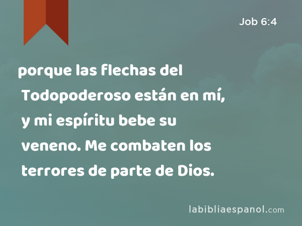 porque las flechas del Todopoderoso están en mí, y mi espíritu bebe su veneno. Me combaten los terrores de parte de Dios. - Job 6:4