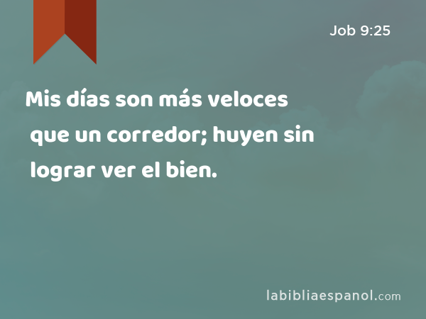 Mis días son más veloces que un corredor; huyen sin lograr ver el bien. - Job 9:25