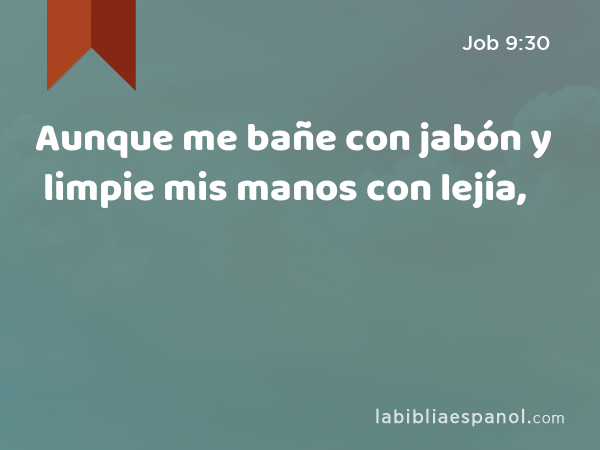 Aunque me bañe con jabón y limpie mis manos con lejía, - Job 9:30