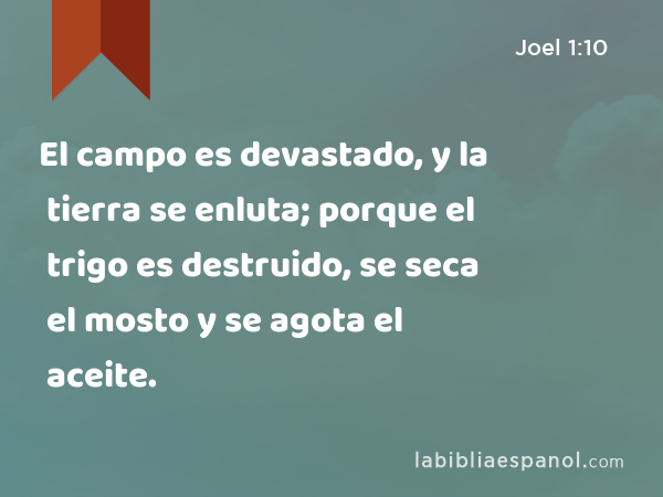 El campo es devastado, y la tierra se enluta; porque el trigo es destruido, se seca el mosto y se agota el aceite. - Joel 1:10