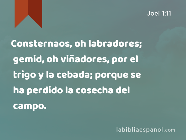 Consternaos, oh labradores; gemid, oh viñadores, por el trigo y la cebada; porque se ha perdido la cosecha del campo. - Joel 1:11