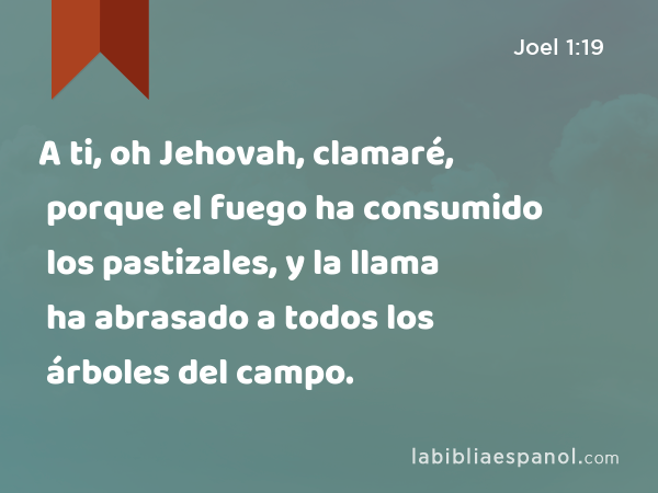 A ti, oh Jehovah, clamaré, porque el fuego ha consumido los pastizales, y la llama ha abrasado a todos los árboles del campo. - Joel 1:19