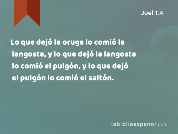 Lo que dejó la oruga lo comió la langosta, y lo que dejó la langosta lo comió el pulgón, y lo que dejó el pulgón lo comió el saltón. - Joel 1:4