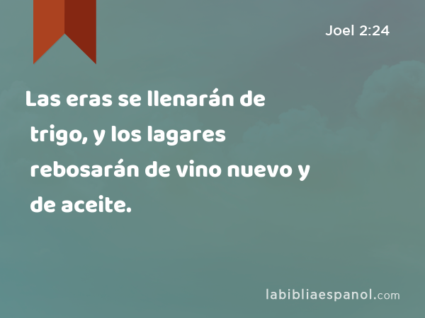 Las eras se llenarán de trigo, y los lagares rebosarán de vino nuevo y de aceite. - Joel 2:24