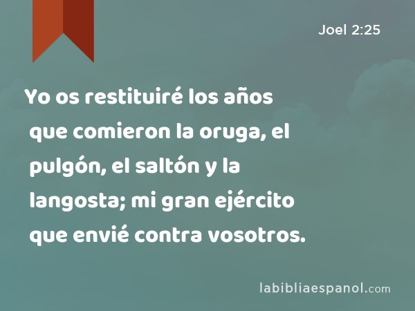 Yo os restituiré los años que comieron la oruga, el pulgón, el saltón y la langosta; mi gran ejército que envié contra vosotros. - Joel 2:25