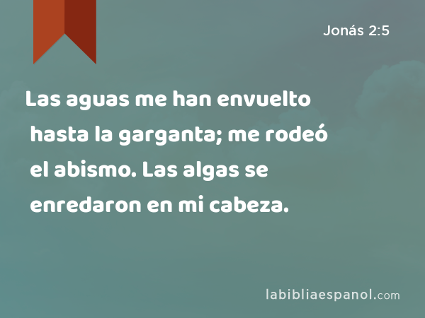 Las aguas me han envuelto hasta la garganta; me rodeó el abismo. Las algas se enredaron en mi cabeza. - Jonás 2:5