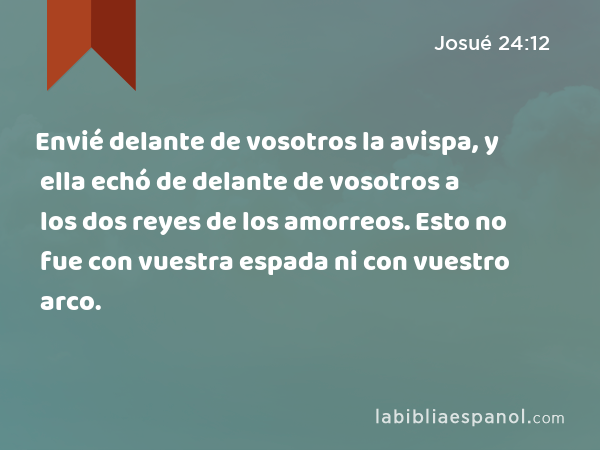 Envié delante de vosotros la avispa, y ella echó de delante de vosotros a los dos reyes de los amorreos. Esto no fue con vuestra espada ni con vuestro arco. - Josué 24:12