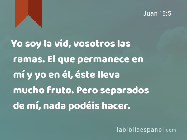 Yo soy la vid, vosotros las ramas. El que permanece en mí y yo en él, éste lleva mucho fruto. Pero separados de mí, nada podéis hacer. - Juan 15:5