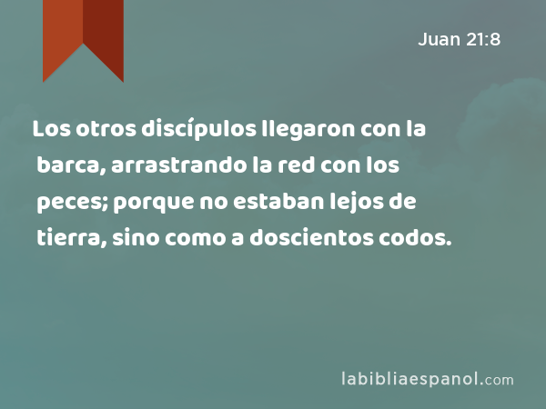 Los otros discípulos llegaron con la barca, arrastrando la red con los peces; porque no estaban lejos de tierra, sino como a doscientos codos. - Juan 21:8