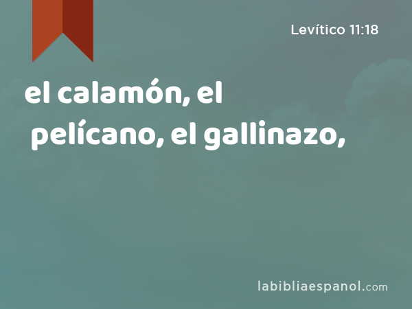 el calamón, el pelícano, el gallinazo, - Levítico 11:18