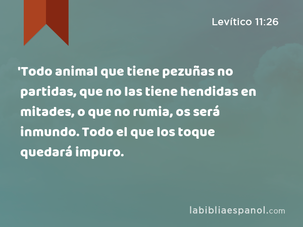 'Todo animal que tiene pezuñas no partidas, que no las tiene hendidas en mitades, o que no rumia, os será inmundo. Todo el que los toque quedará impuro. - Levítico 11:26