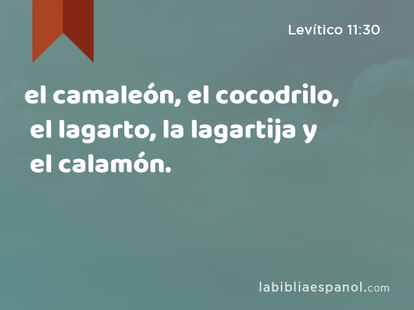 el camaleón, el cocodrilo, el lagarto, la lagartija y el calamón. - Levítico 11:30