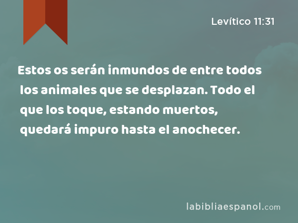 Estos os serán inmundos de entre todos los animales que se desplazan. Todo el que los toque, estando muertos, quedará impuro hasta el anochecer. - Levítico 11:31