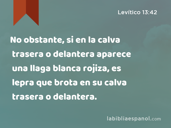 No obstante, si en la calva trasera o delantera aparece una llaga blanca rojiza, es lepra que brota en su calva trasera o delantera. - Levítico 13:42